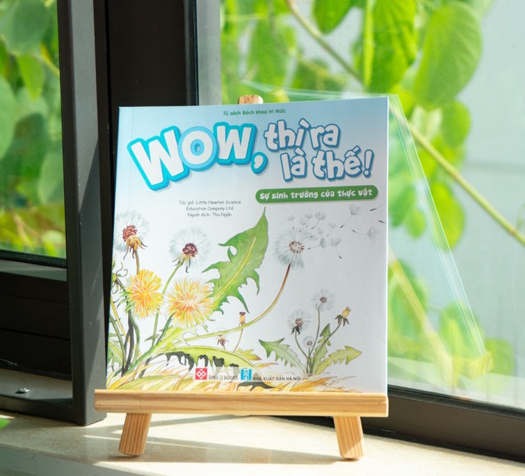 Wow, thì ra là thế! Sự sinh trưởng của thực vật